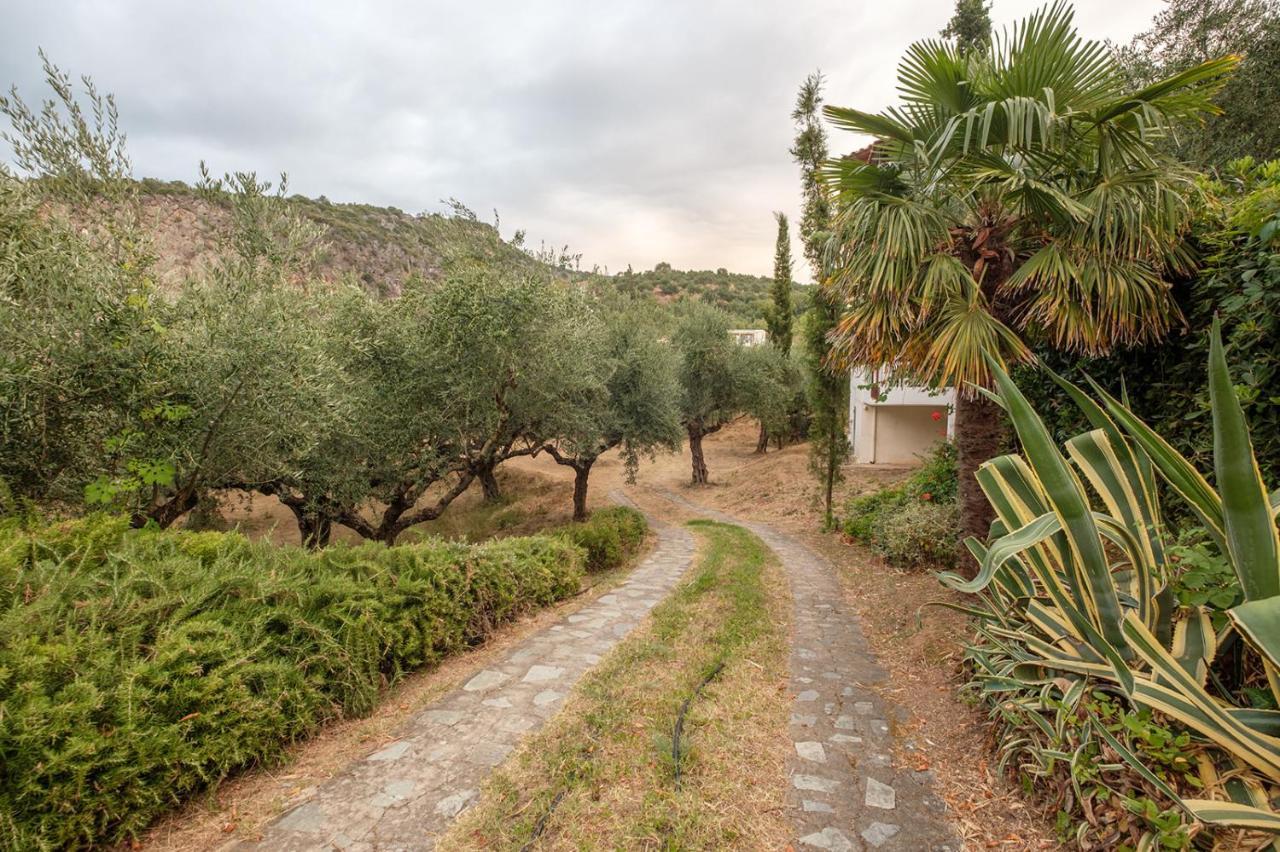 Panagea Holiday Apartments Kitriaí Eksteriør bilde